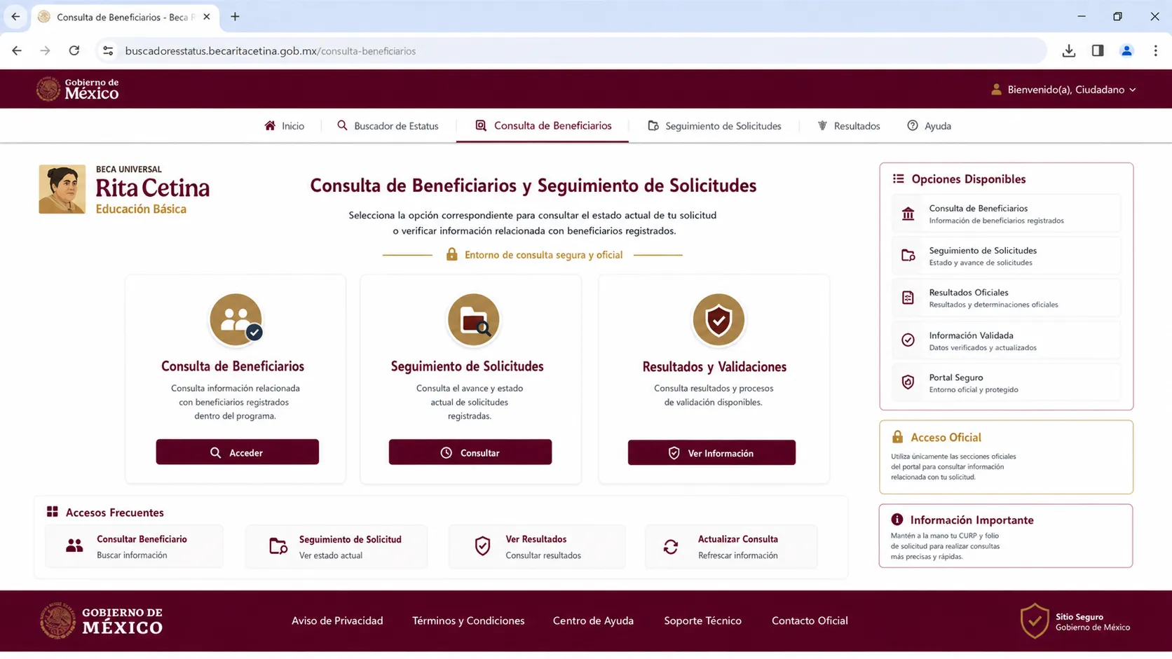 Localiza la sección de consulta