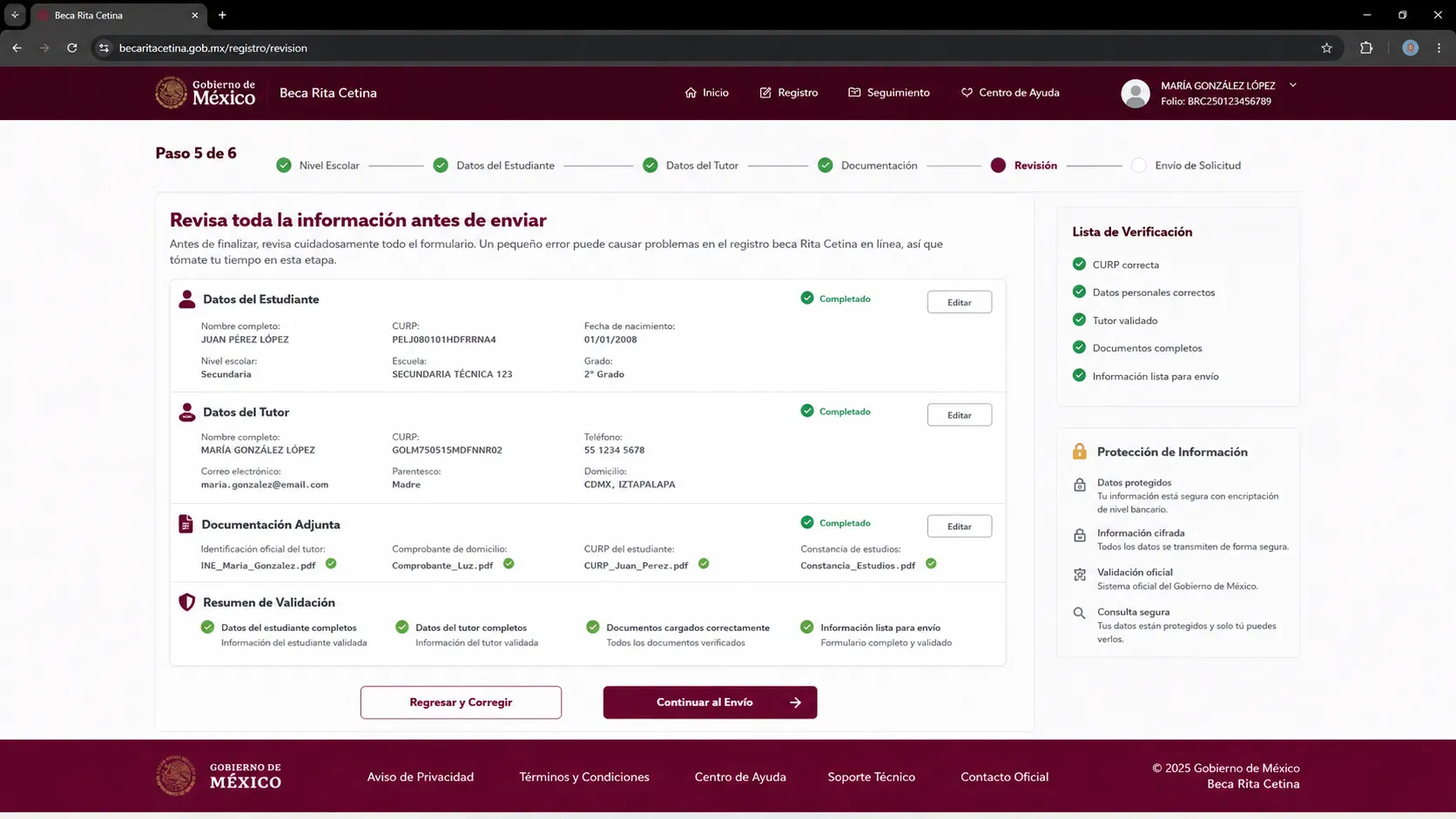 Revisa la información antes de enviar